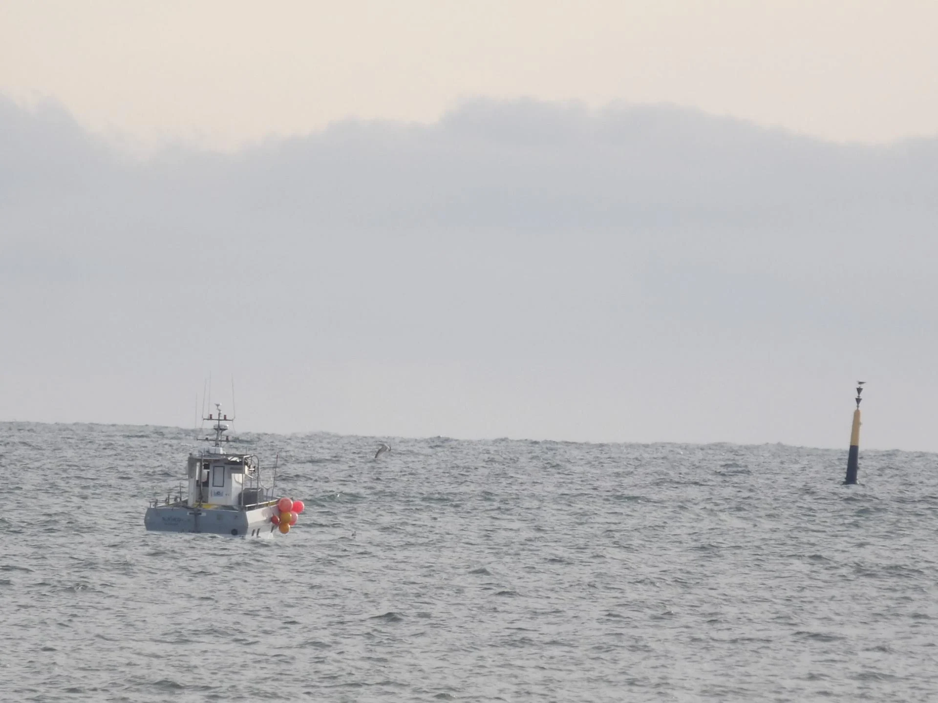 251223 njord au large i